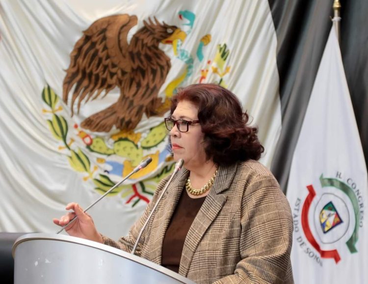 SOLICITA DIPUTADA ALICIA GAYTÁN CAMPAÑAS CONTRA RETOS VIRALES QUE PONEN EN RIESGO LA VIDA DE NIÑAS, NIÑOS Y ADOLESCENTES