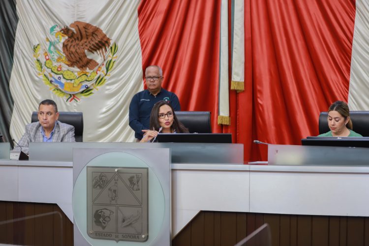 Celebra su última sesión ordinaria la Diputación Permanente