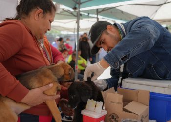 INVITA LA SECRETARÍA DE SALUD A VACUNAR MASCOTAS CONTRA LA RABIA EN HERMOSILLO&nbsp;