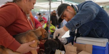 INVITA LA SECRETARÍA DE SALUD A VACUNAR MASCOTAS CONTRA LA RABIA EN HERMOSILLO&nbsp;