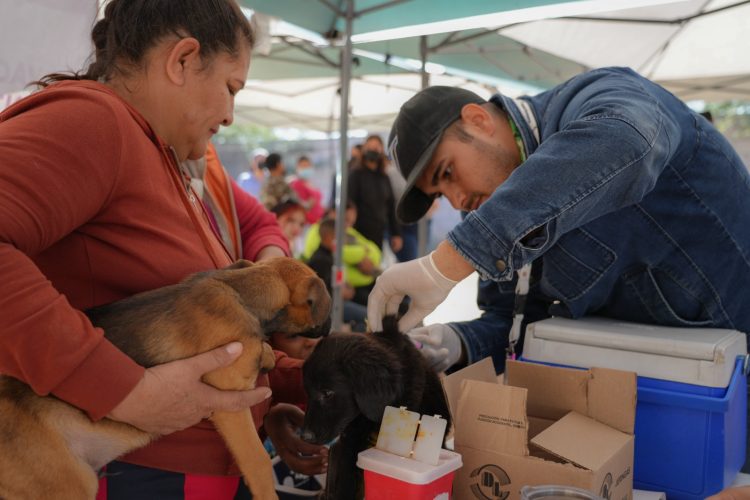 INVITA LA SECRETARÍA DE SALUD A VACUNAR MASCOTAS CONTRA LA RABIA EN HERMOSILLO 