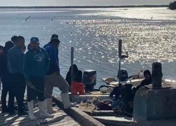 Cuarto ataque de tiburón blanco a buzo pescador de Sonora
