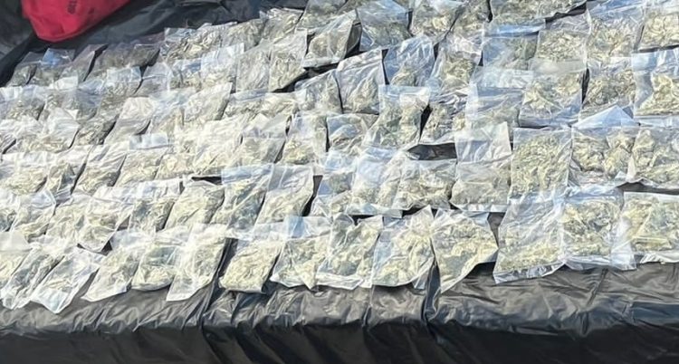 ASEGURAN POLICÍA ESTATAL Y SEDENA MÁS DE 200 ENVOLTORIOS DE SUSTANCIAS PROHIBIDAS EN EMPALME&nbsp;