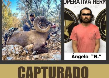 APREHENDEN A CAZADOR FURTIVO, LLEVABA CORNAMENTA DE BORREGO CIMARRÓN: FGJE