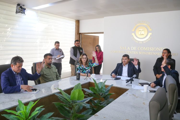 Congreso de Sonora dictamina fortalecer medidas de reforestación y renuncia de regidora de Agua Prieta