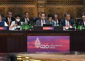 EL G20 PIDE PONER FIN A LA GUERRA EN UCRANIA, PESE A DIVISIONES