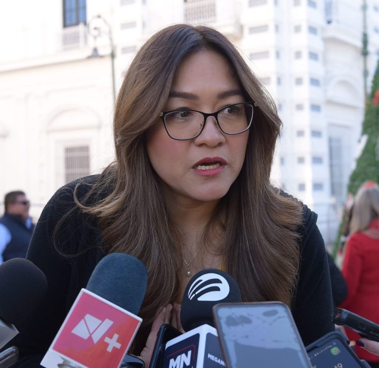 EN FEBRERO INICIARÁ INSTALACIÓN DE MÁS DE MIL 800 LUMINARIAS LED&nbsp;