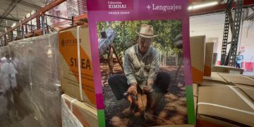 Llegan a Sonora Libros de Texto Gratuitos para nivel secundaria
