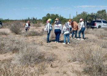 Preocupan desapariciones en Sonora: Colectivos de Madres Buscadoras