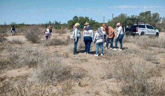 Preocupan desapariciones en Sonora: Colectivos de Madres Buscadoras