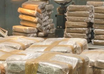 DECOMISAN GRAN CANTIDAD DE DROGA EN SAN LUIS RÍO COLORADO