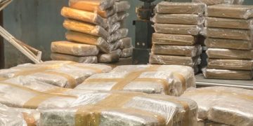 DECOMISAN GRAN CANTIDAD DE DROGA EN SAN LUIS RÍO COLORADO