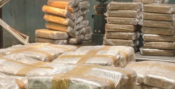 DECOMISAN GRAN CANTIDAD DE DROGA EN SAN LUIS RÍO COLORADO