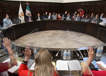 Aprueba Cabildo creación del Instituto Municipal de Protección y Bienestar Animal