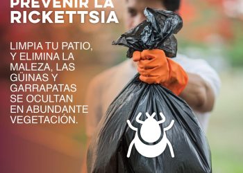 “La rickettsia es una enfermedad mortal si no se trata a tiempo”: Salud Sonora