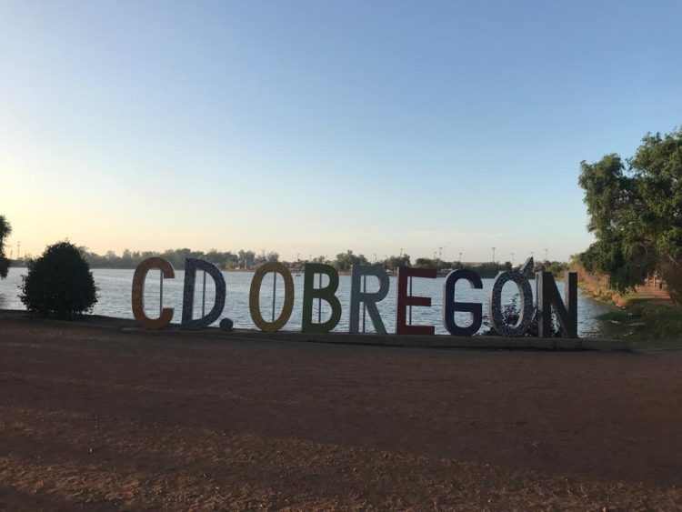 Lamenta el Partido del Trabajo asesinato de regidora Montiel de Bácum