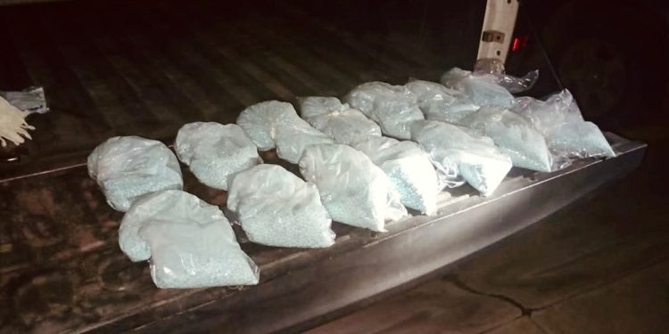 ASEGURAN CARGAMENTO DE FENTANILO EN NAVOJOA&nbsp;