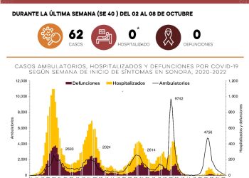 CONFIRMA SECRETARÍA DE SALUD 62 CASOS Y NINGUNA DEFUNCIÓN POR COVID-19&nbsp;