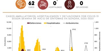 CONFIRMA SECRETARÍA DE SALUD 62 CASOS Y NINGUNA DEFUNCIÓN POR COVID-19&nbsp;