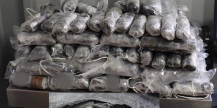 IMPIDE CBP ARIZONA CONTRABANDO DE FENTANILO EN NOGALES, ARIZONA