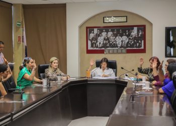 APRUEBAN EN COMISIÓN DOS PROYECTOS EN DICTAMEN&nbsp;