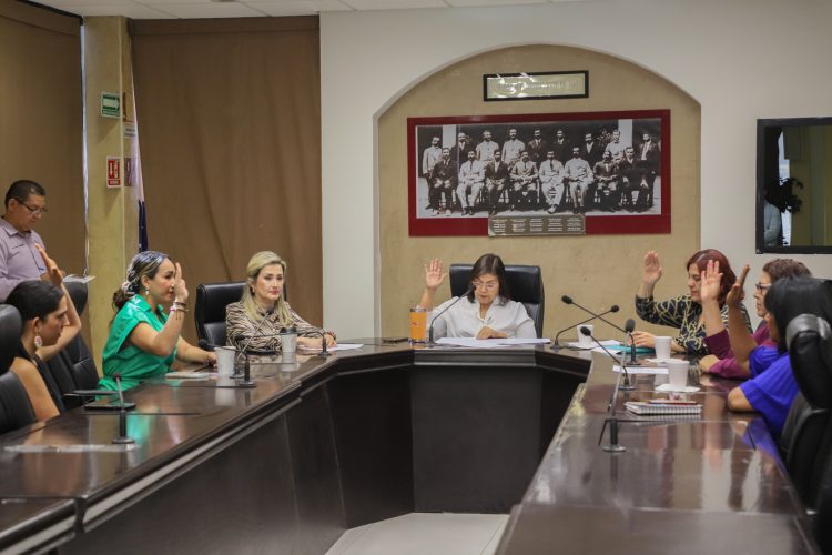 APRUEBAN EN COMISIÓN DOS PROYECTOS EN DICTAMEN