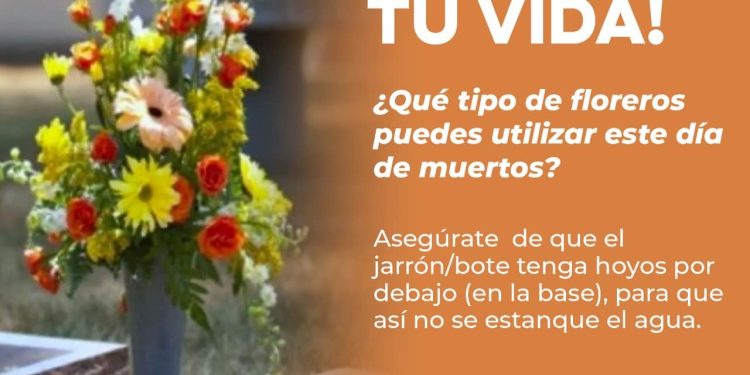 IMPLEMENTA SECRETARÍA DE SALUD ACCIONES CONTRA EL DENGUE EN FESTIVIDADES DEL DÍA DE MUERTOS&nbsp;
