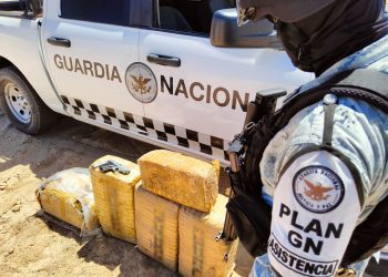 EN SONORA, GUARDIA NACIONAL DECOMISA CARGAMENTO DE APARENTE MARIHUANA