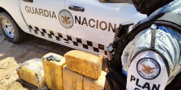 EN SONORA, GUARDIA NACIONAL DECOMISA CARGAMENTO DE APARENTE MARIHUANA