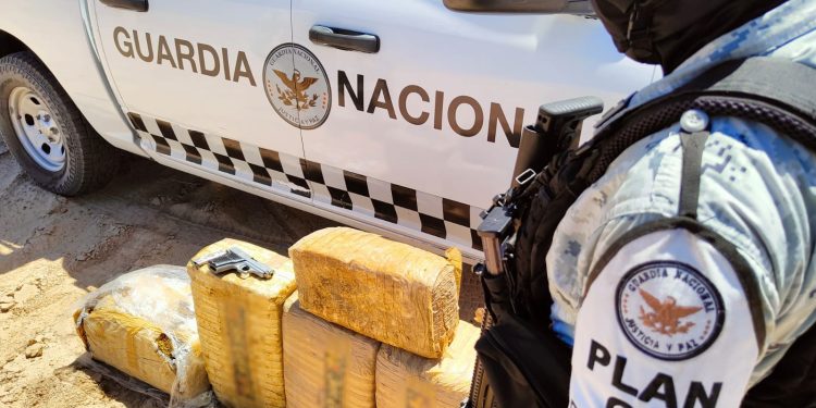 EN SONORA, GUARDIA NACIONAL DECOMISA CARGAMENTO DE APARENTE MARIHUANA