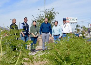 Supervisa Toño Astiazarán remozamiento del camellón del bulevar Mazón López
