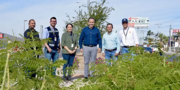Supervisa Toño Astiazarán remozamiento del camellón del bulevar Mazón López