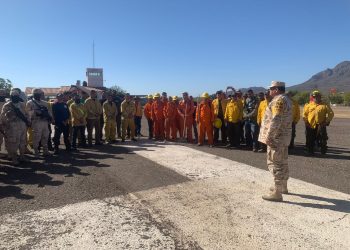 Incendios forestales  en Sonora han consumido casi 20 mil hectáreas