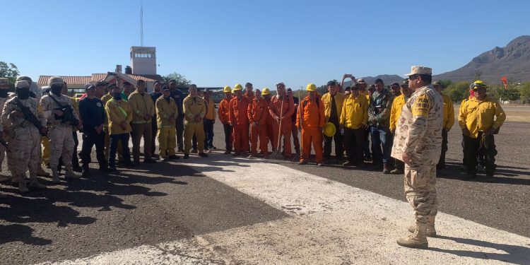 Incendios forestales&nbsp; en Sonora han consumido casi 20 mil hectáreas