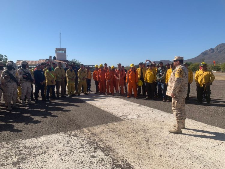 Incendios forestales  en Sonora han consumido casi 20 mil hectáreas