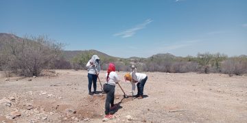 LOCALIZA MADRES BUSCADORAS DE SONORA OSAMENTA AL SUR DE HERMOSILLO