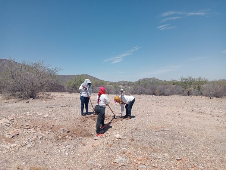 LOCALIZA MADRES BUSCADORAS DE SONORA OSAMENTA AL SUR DE HERMOSILLO