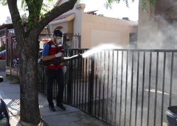 Van cinco casos de dengue en Sonora este año