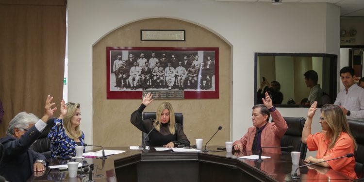 DICTAMINAN INICIATIVA A FAVOR DEL MEDIO AMBIENTE&nbsp;