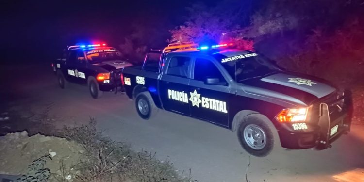 Asegura Policía Estatal 18 kilos de hierba verde en Nogales