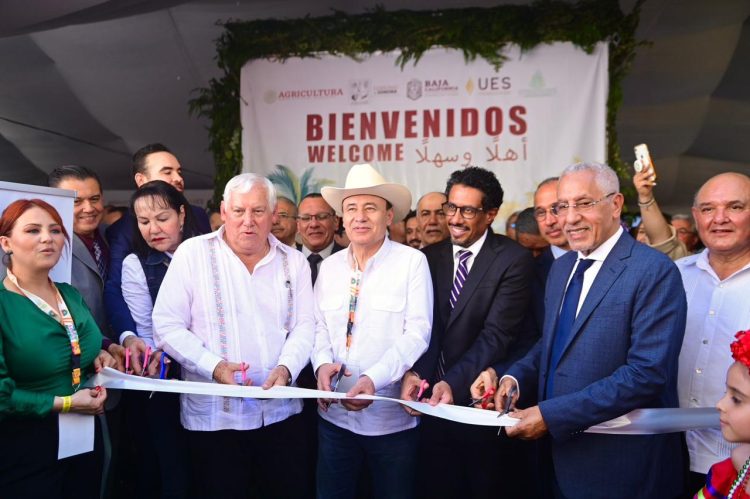 Contamos con potencial mundial para atracción de inversión y producción agrícola: Alfonso Durazo