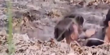 Un venezolano y un haitiano murieron ahogados intentando cruzar zona fangosa del Río Bravo | VIDEO