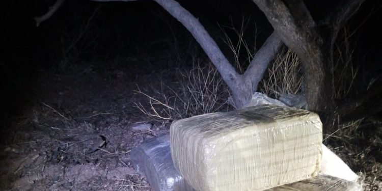 ENCUENTRA POLICÍA ESTATAL 30 KILOGRAMOS DE HIERBA EN CAMINO DE TERRACERÍA EN NOGALES&nbsp;