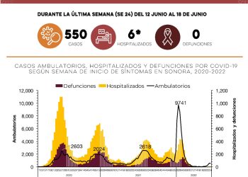 Confirma Secretaría de Salud 550 casos y ninguna defunción por Covid-19