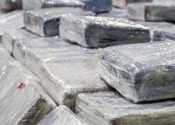 DECOMISAN EN SONORA 224 KILOS DE COCAÍNA PURA