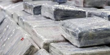 DECOMISAN EN SONORA 224 KILOS DE COCAÍNA PURA