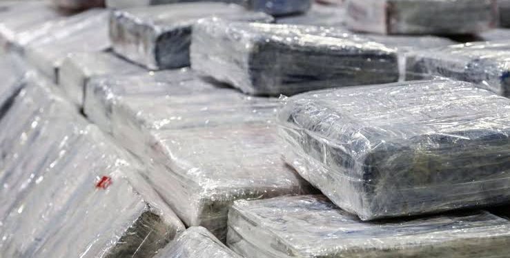 DECOMISAN EN SONORA 224 KILOS DE COCAÍNA PURA