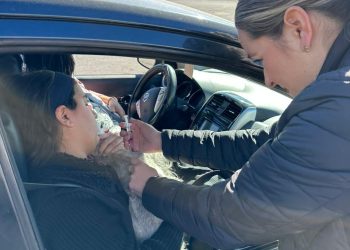 ACERCA SALUD SONORA CAMPAÑA DE ATENCIÓN CANINA Y FELINA A HERMOSILLENSES