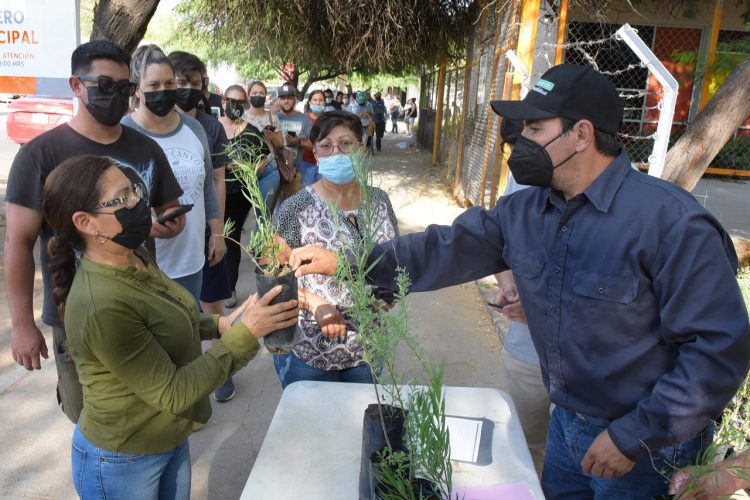 Realiza Vivero Municipal jornada de donación de árboles