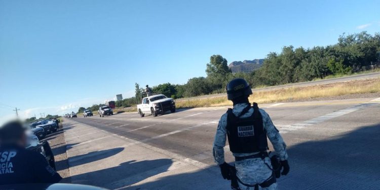 LIBERAN CARRETERA FEDERAL 15 EN SONORA, HAY 20 DETENIDOS